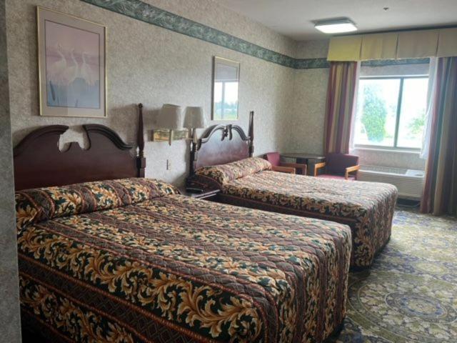Garden Inn New Castle Extérieur photo